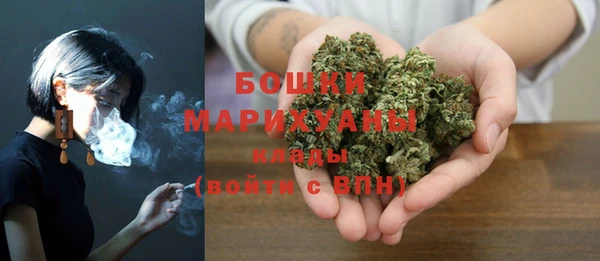 Альфа ПВП Белокуриха
