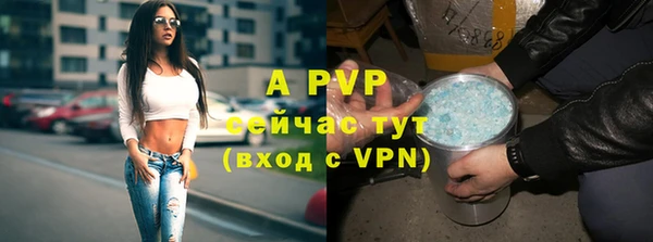 крисы Ладушкин