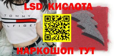 спиды Камышлов