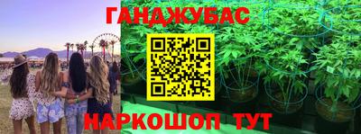 спиды Камышлов