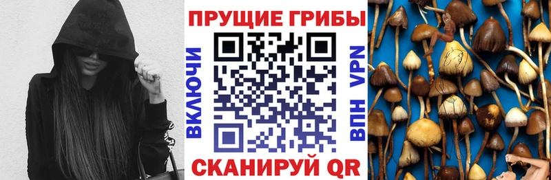 ссылка на мегу ONION  Кузнецк  Галлюциногенные грибы GOLDEN TEACHER  купить наркотики цена 