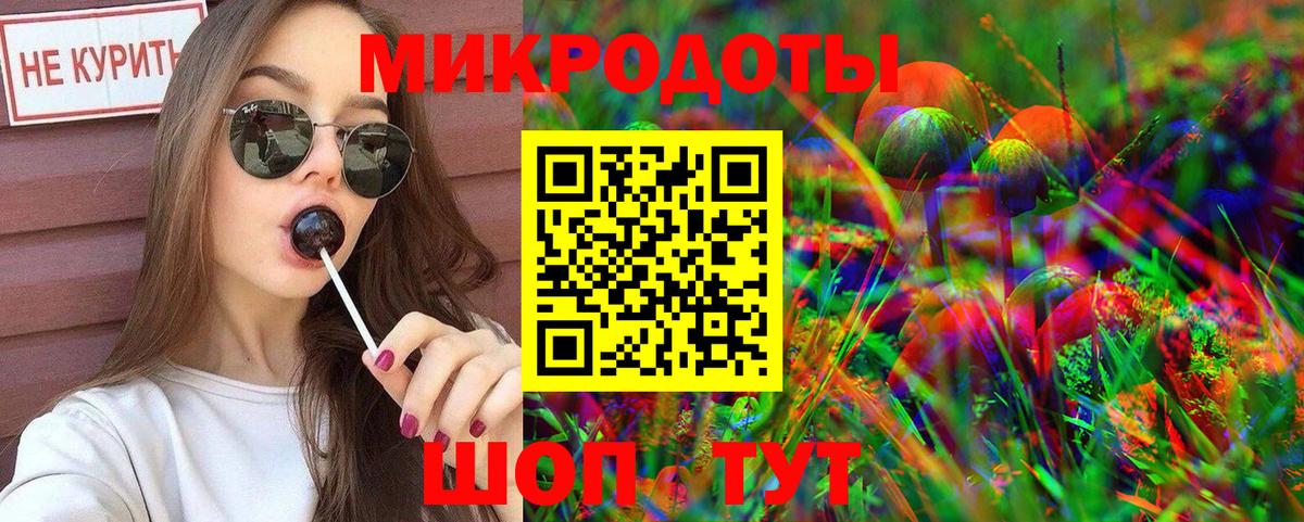 Галлюциногенные грибы Psilocybine cubensis Кузнецк