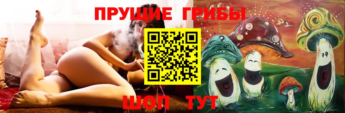 Кузнецк  Псилоцибиновые грибы мицелий  Вход с VPN 